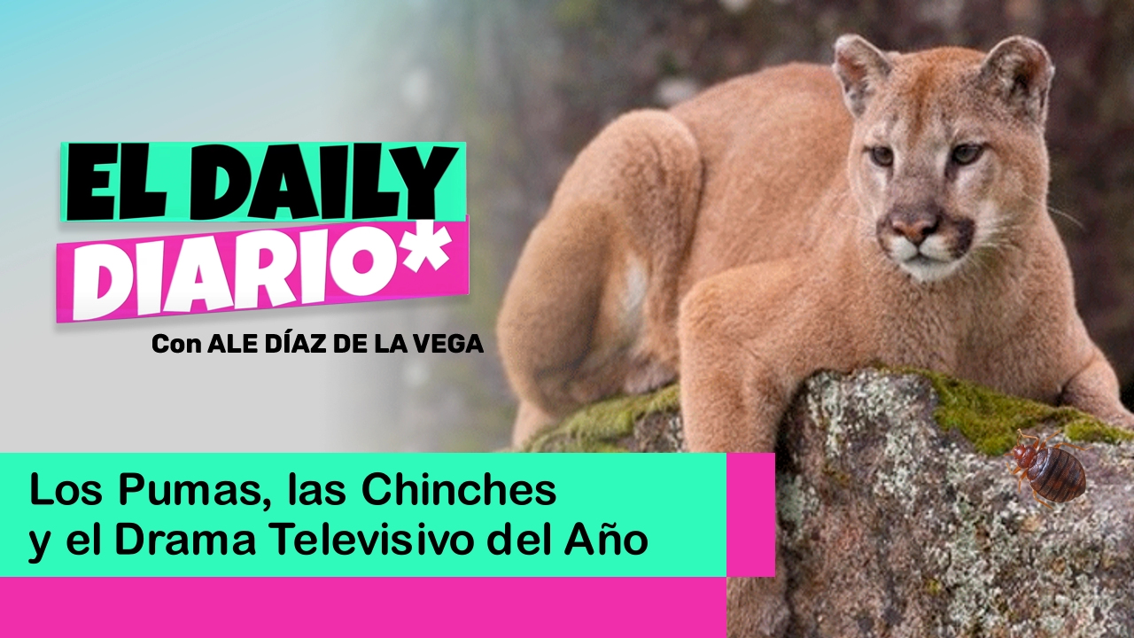 Lee más sobre el artículo Los Pumas, las Chinches y el Drama Televisivo del Año