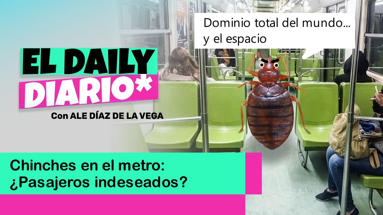 Lee más sobre el artículo Chinches en el metro: ¿Pasajeros indeseados?