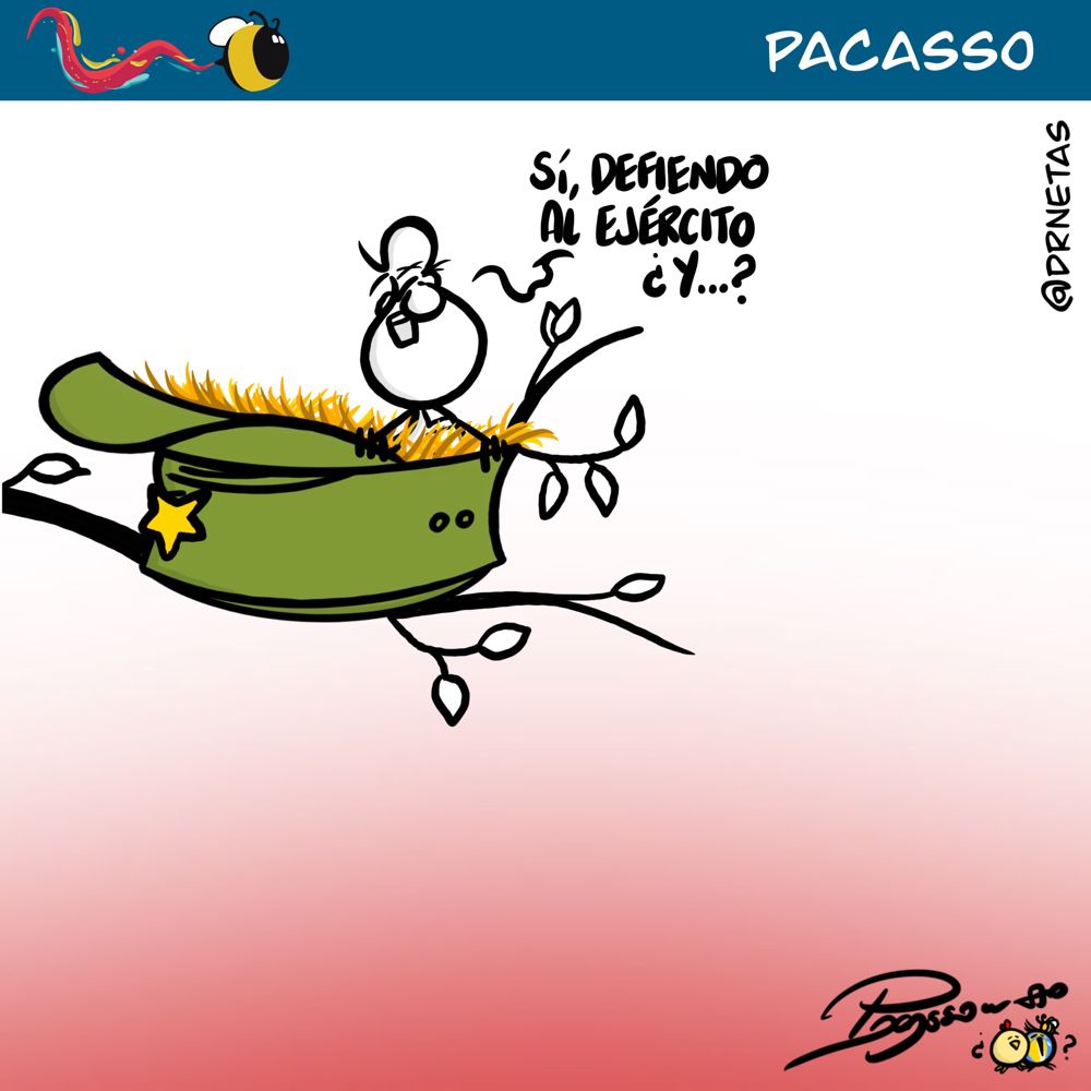 Lee más sobre el artículo Pájaro de cuenta