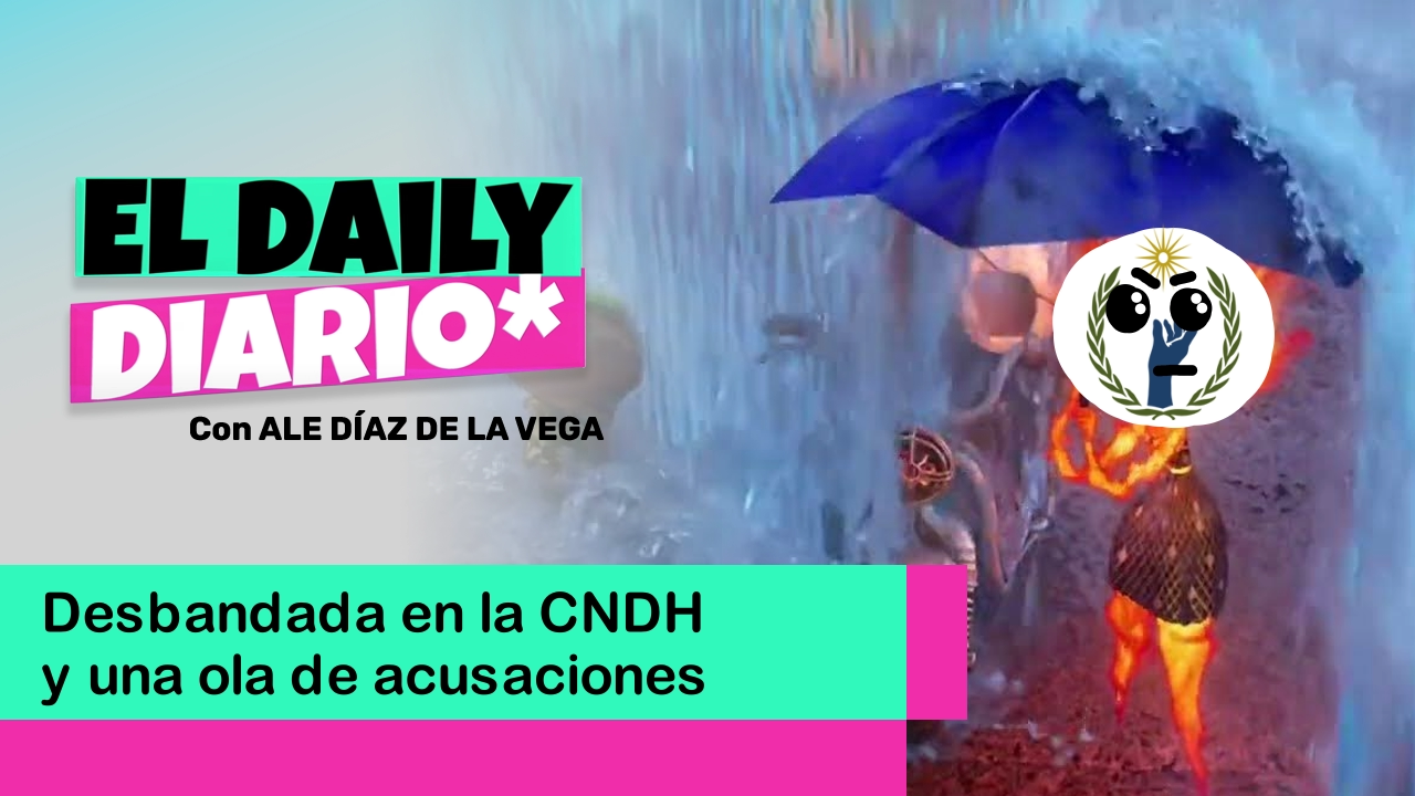 Lee más sobre el artículo Desbandada en la CNDH y una ola de acusaciones 