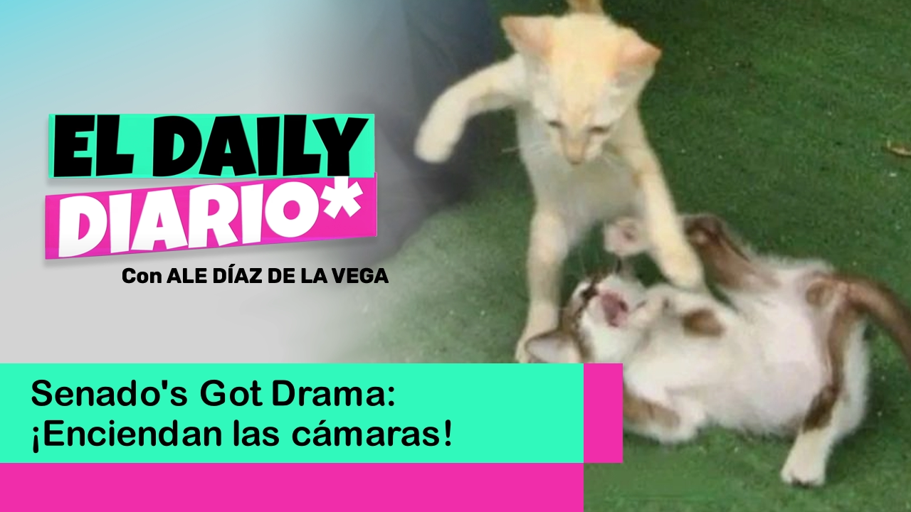 Lee más sobre el artículo Senado’s Got Drama: ¡Enciendan las cámaras!