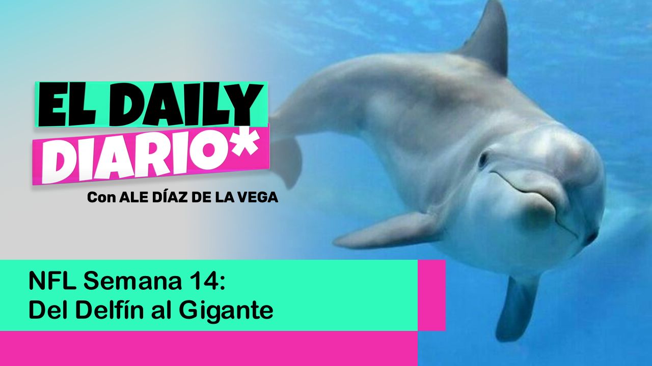 Lee más sobre el artículo NFL Semana 14: Del Delfín al Gigante