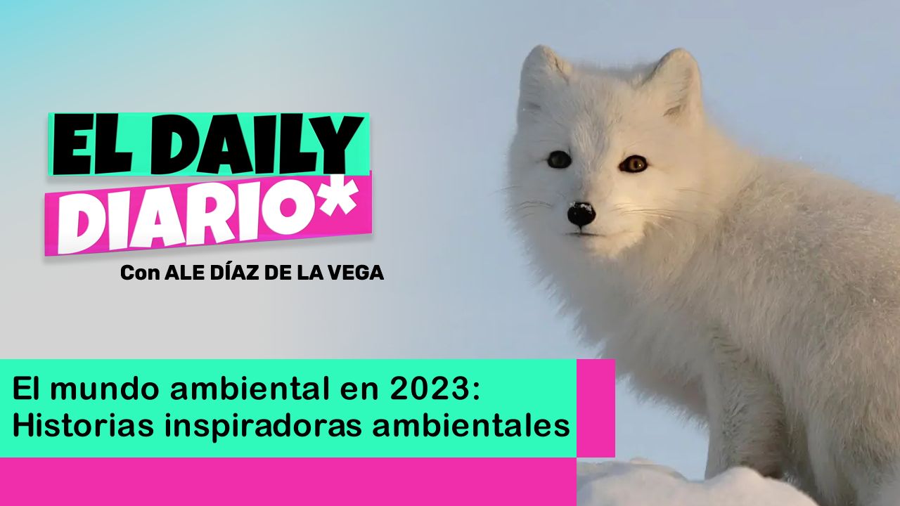 Lee más sobre el artículo El mundo ambiental en 2023: conservación ambiental