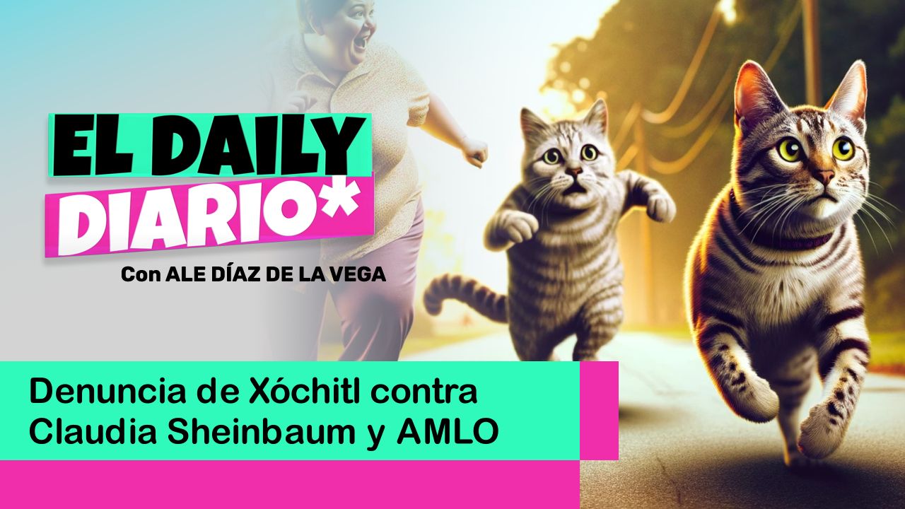 Lee más sobre el artículo Denuncia de Xóchitl contra Claudia Sheinbaum y AMLO