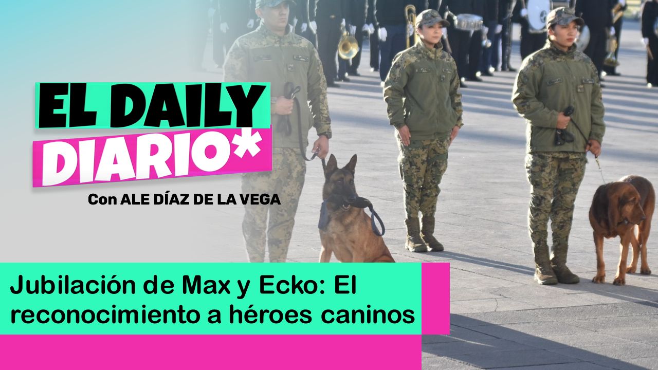 Lee más sobre el artículo Jubilación de Max y Ecko: El reconocimiento a héroes caninos