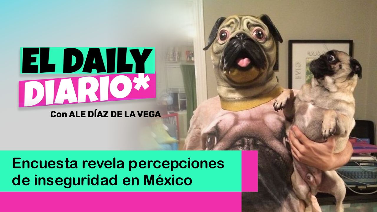 Lee más sobre el artículo Encuesta revela percepciones de inseguridad en México