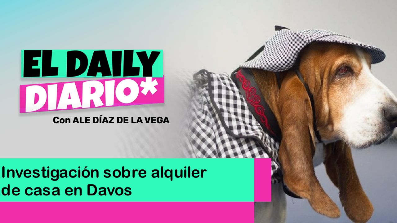 Lee más sobre el artículo Investigación sobre alquiler de casa en Davos