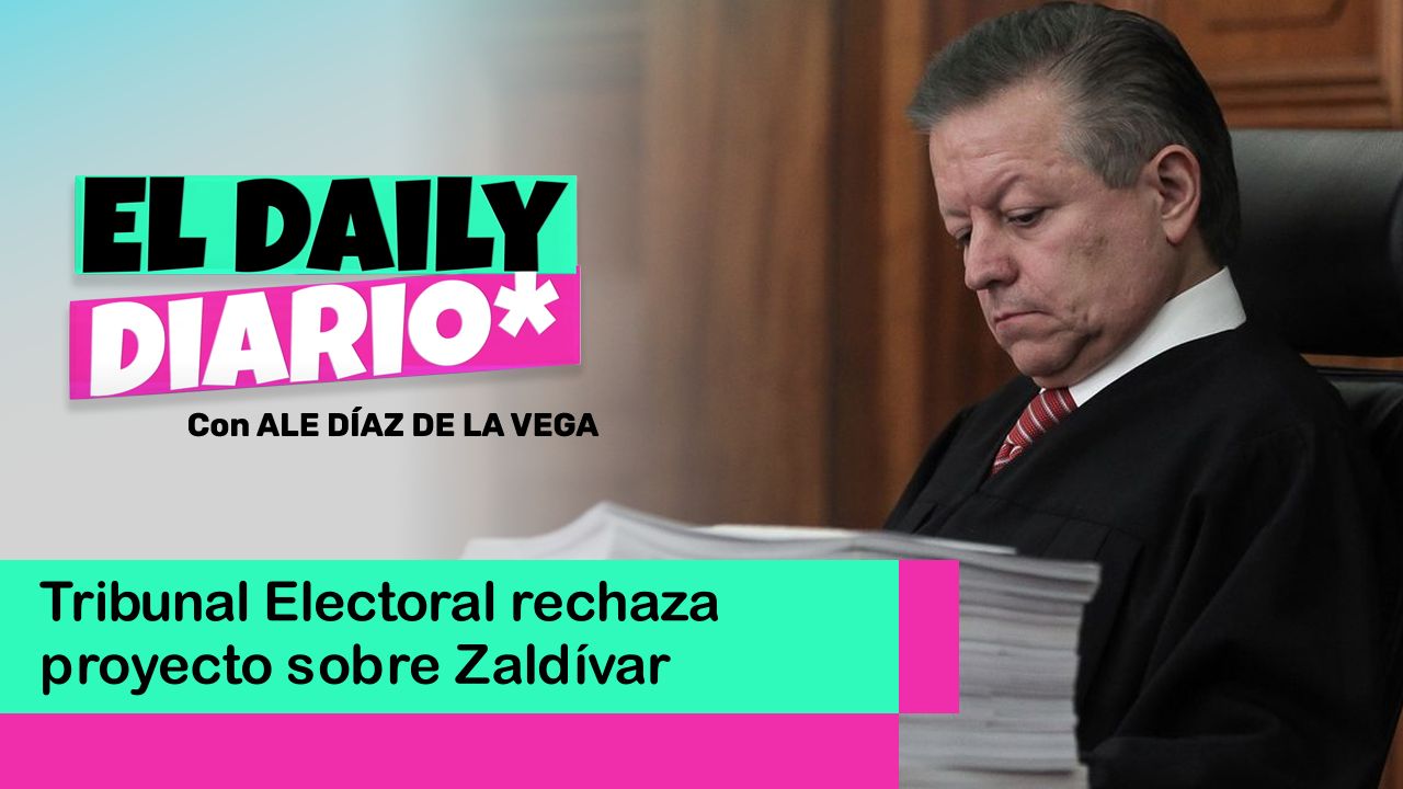 Lee más sobre el artículo Tribunal Electoral rechaza proyecto sobre Zaldívar