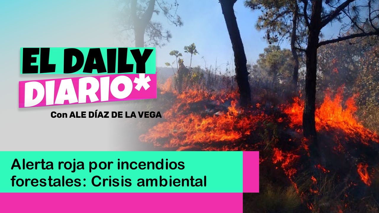 Lee más sobre el artículo Alerta roja por incendios forestales: Crisis ambiental