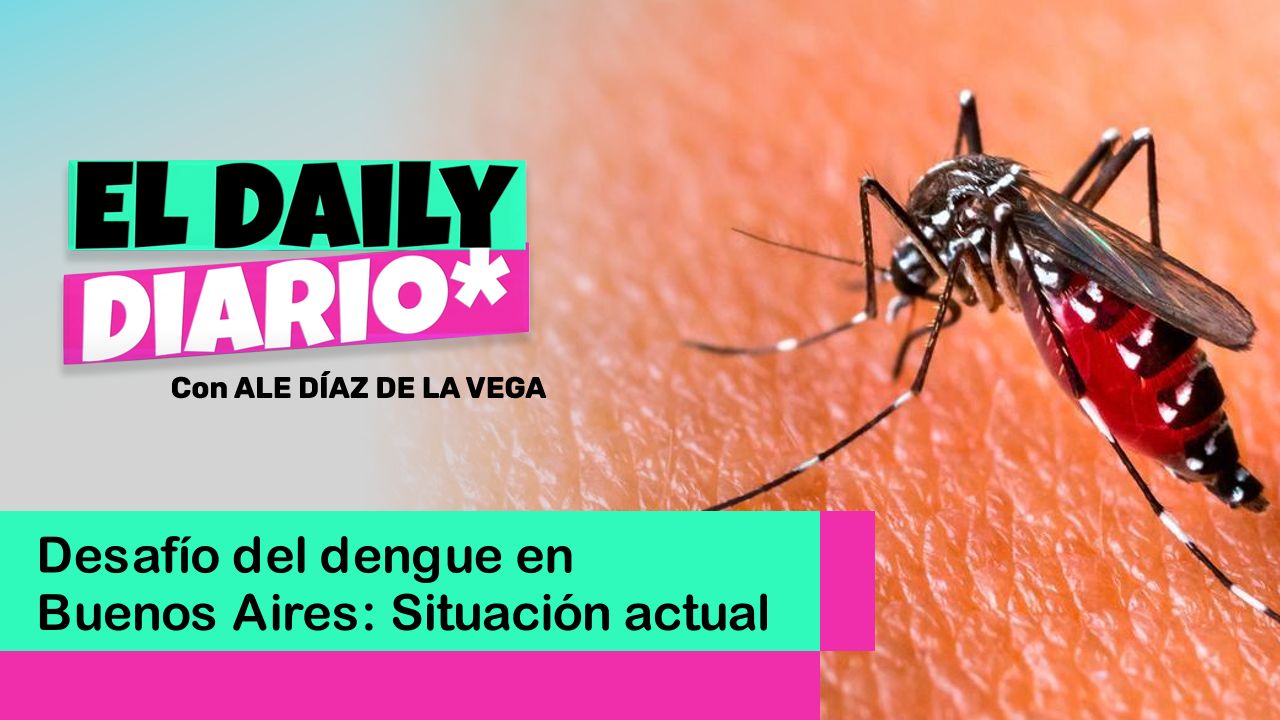 Lee más sobre el artículo Desafío del dengue en Buenos Aires: Situación actual
