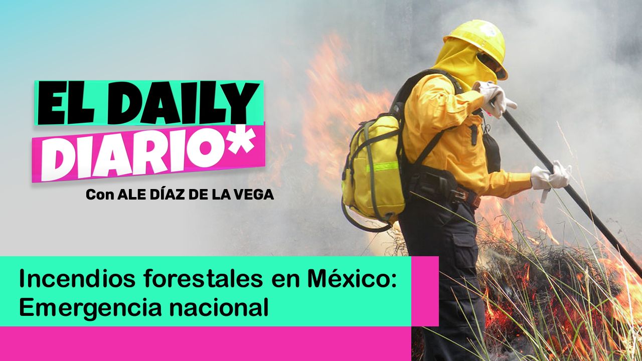 Lee más sobre el artículo Incendios forestales en México: Emergencia nacional